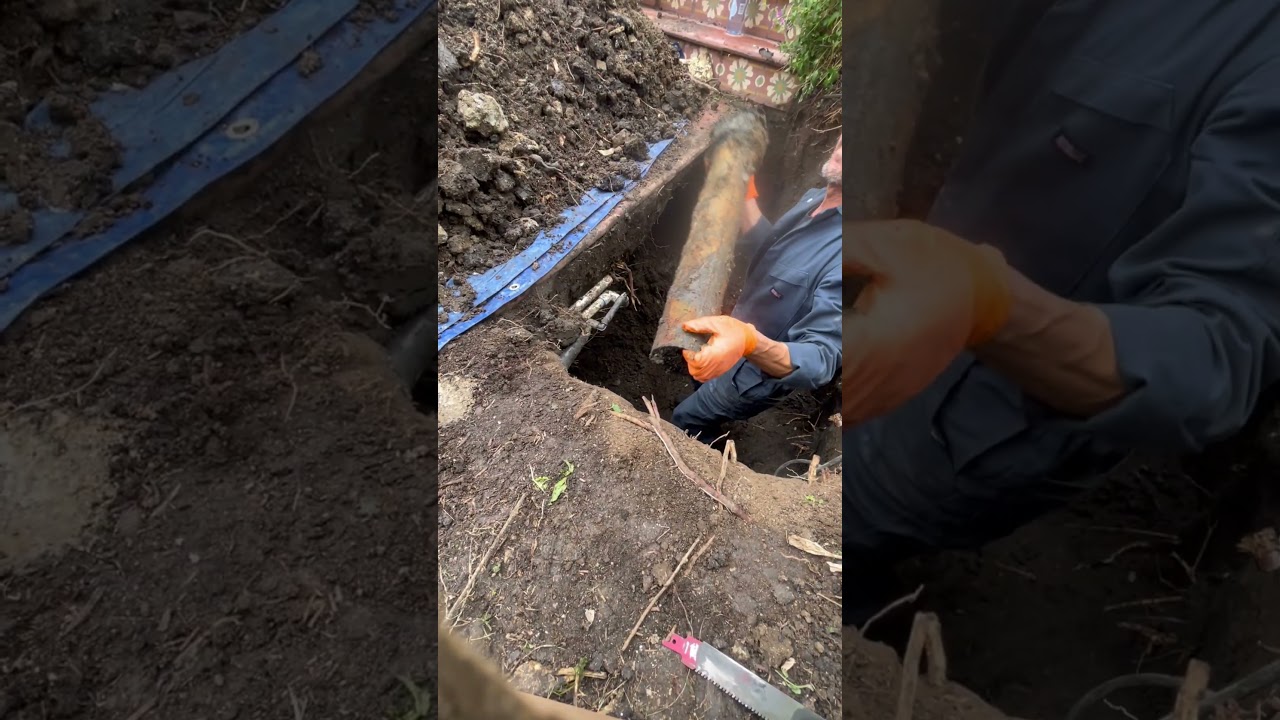 Plumber vs. Nature: Epic Battle with Tree Roots! #plumbing #fails