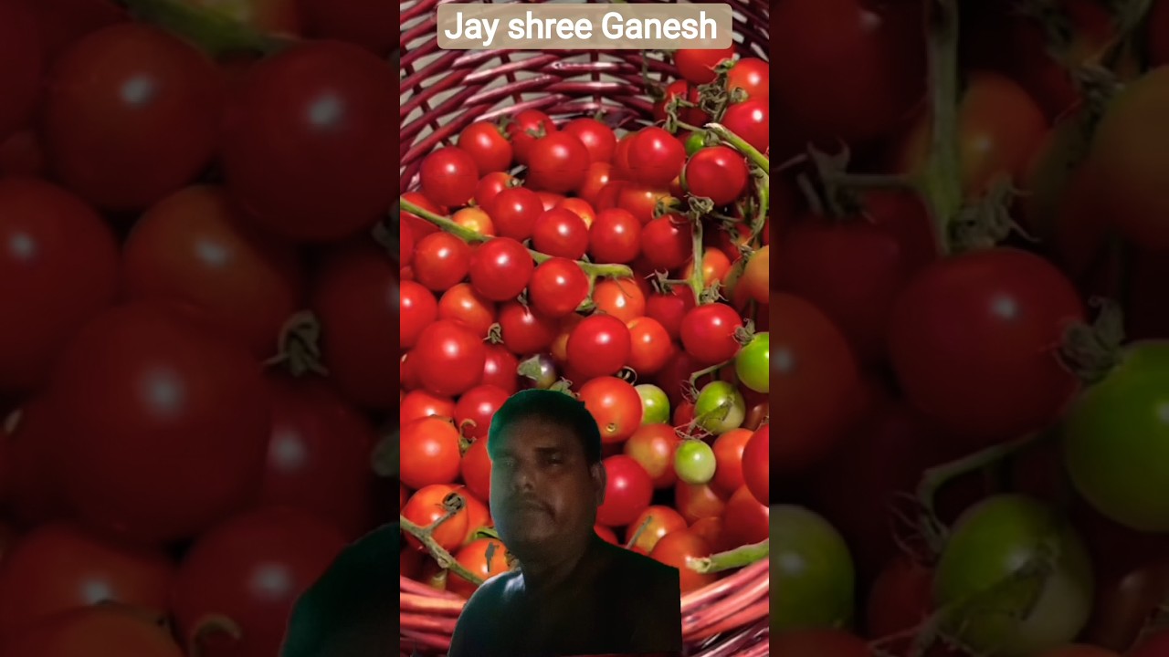 I saw different types of fresh vegetables being picked from the garden #shots #youtubeshorts