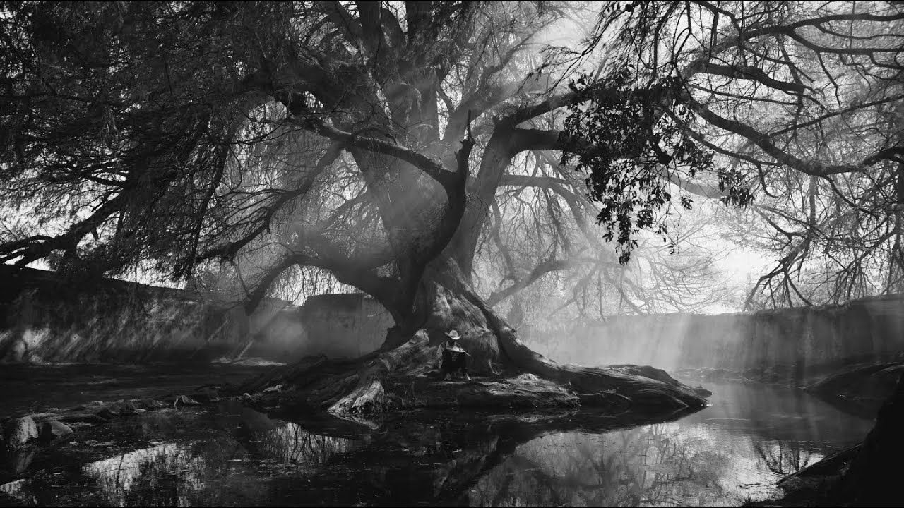 Hanging Valleys - Behind the Backs of Houses (Official Video)