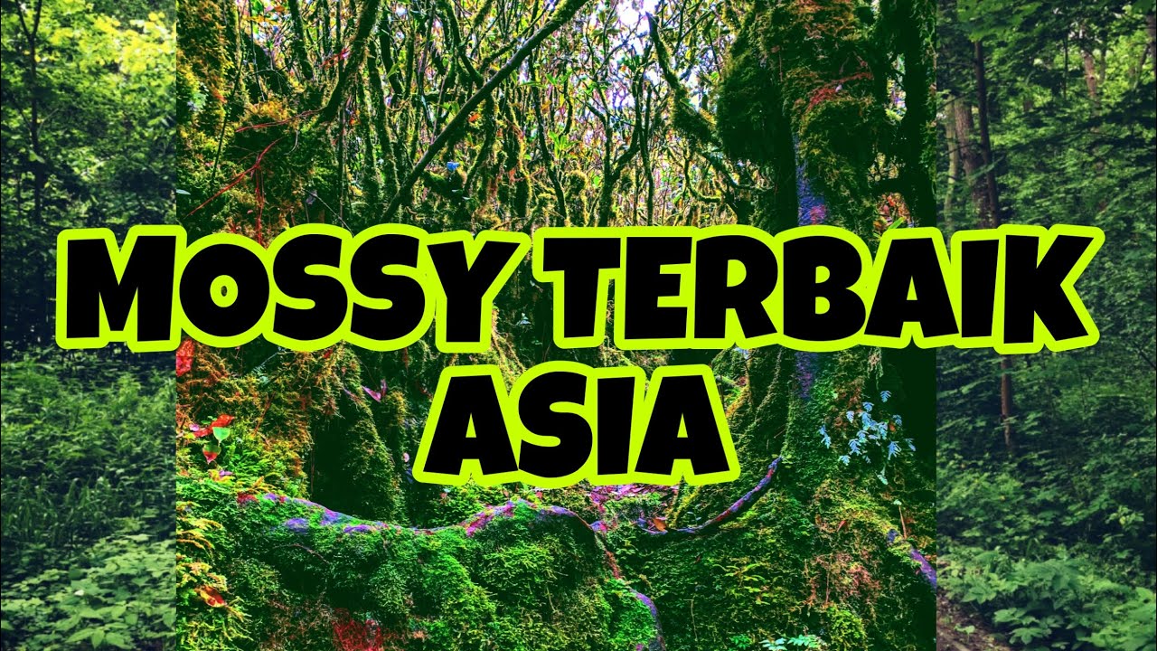 Mossy Gunung G7