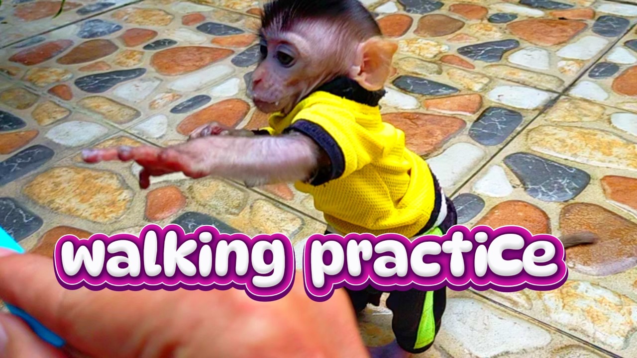 walking practice #viral #trending #viralvideo #trendingvideo