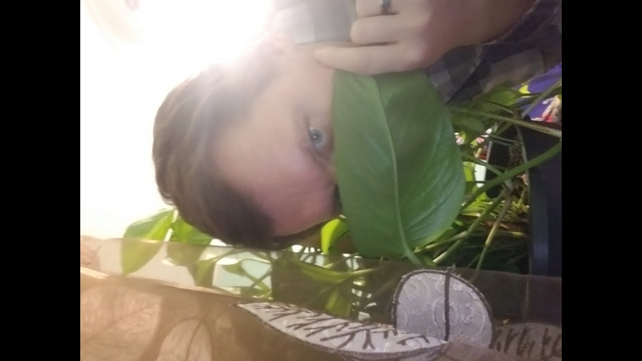 New Grower on the block