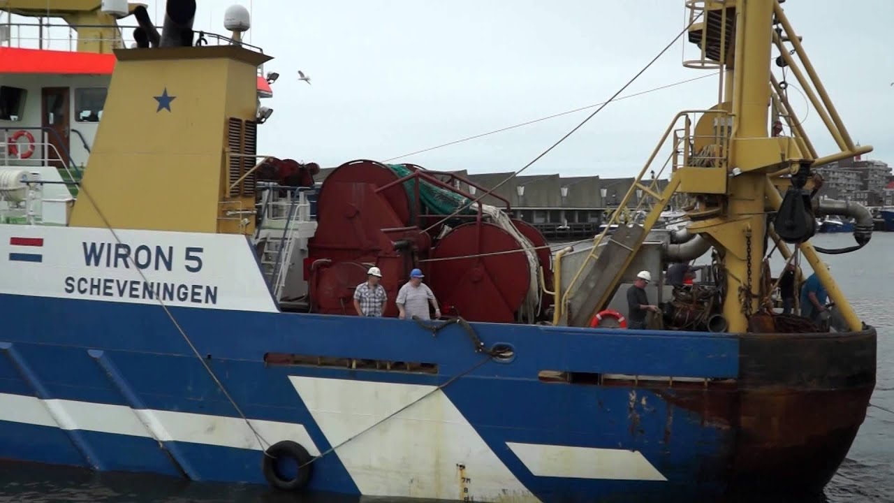 De nieuwe haring van 2013 aangebracht door de wiron 5 en 6