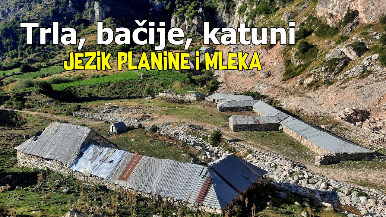 Trla, bačije, katuni – jezik planine i mleka