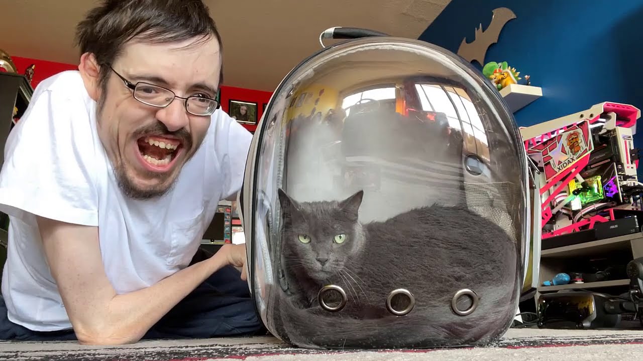 CAT IMPOSTER