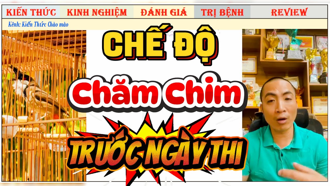 Chế Độ Chăm Chim HIỆU QUẢ Trước Ngày Đi Thi như thế nào?
