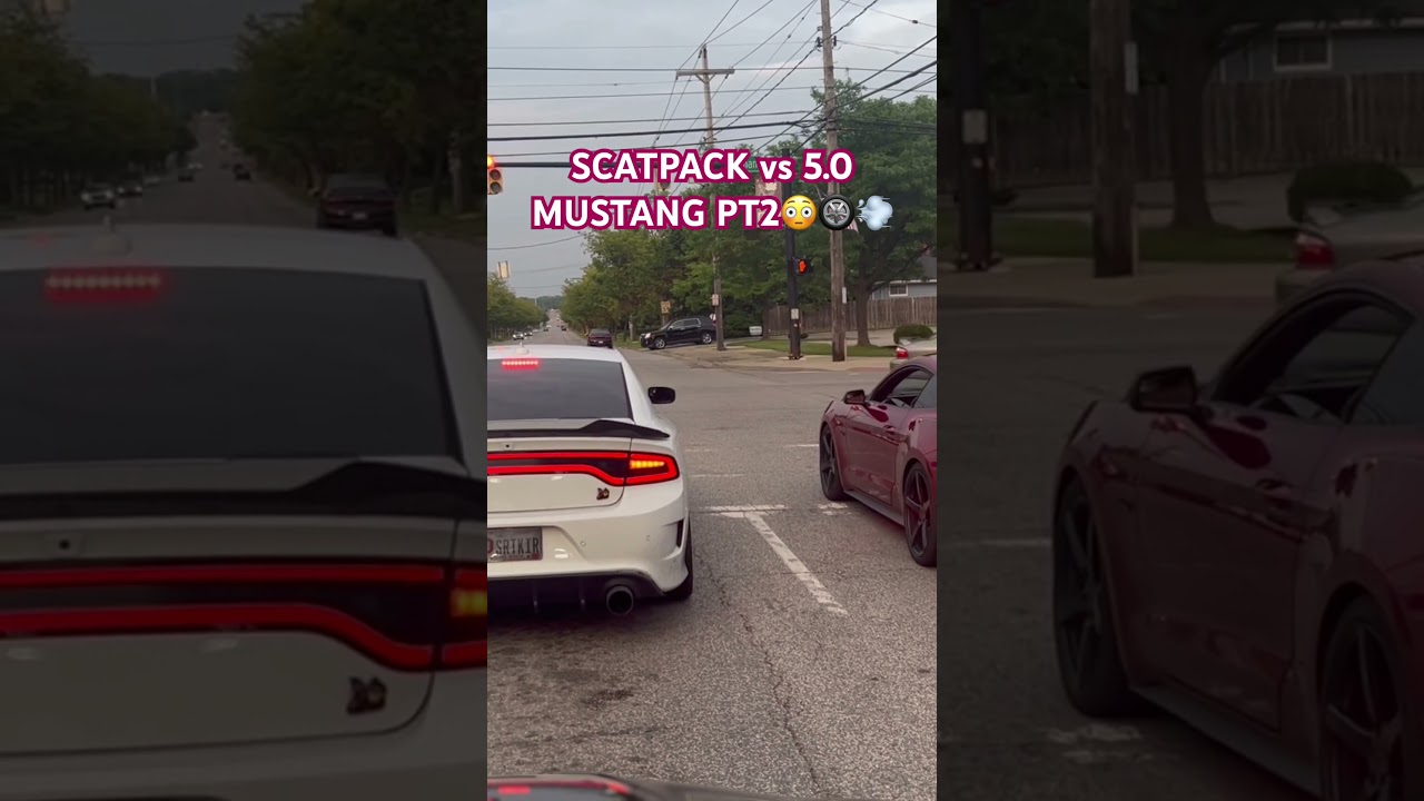 SCATPACK VS 5.0 MUSTANG STREET RACE🫣😳 #dodge #392 #mustangs #hellcat