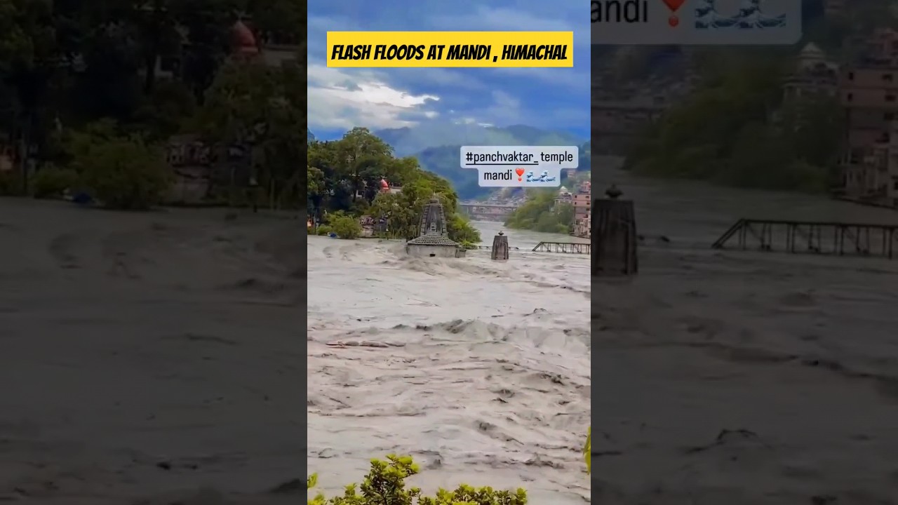 Flash floods at Mandi, Himachal #mandi #himachal #rainflood #flood #heavyrain #chotikashi #beasriver