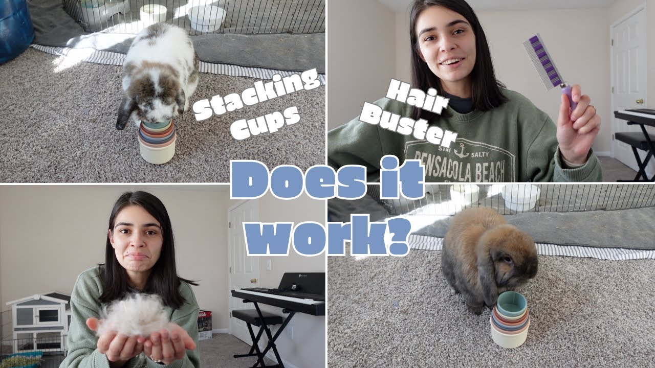 Recenzja grzebienia Hair Buster i kr&oacute;liczki pr&oacute;bują układać kubki (vlog o kr&oacute;liczkach 4)