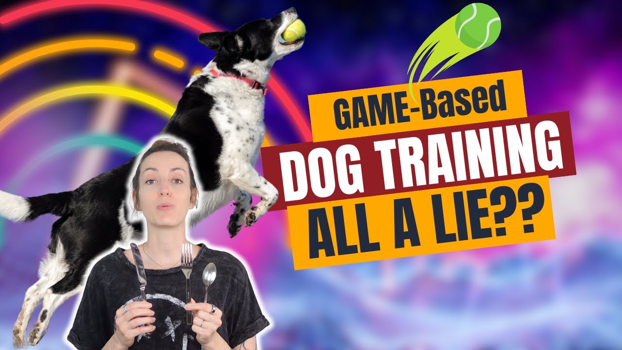 Game-Based Dog Training: Does this trend kill progress?