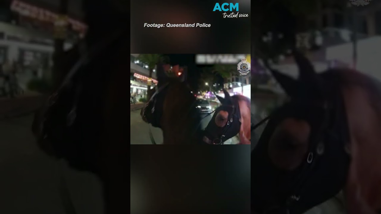 Motorcyclist allegedly strikes two police horses