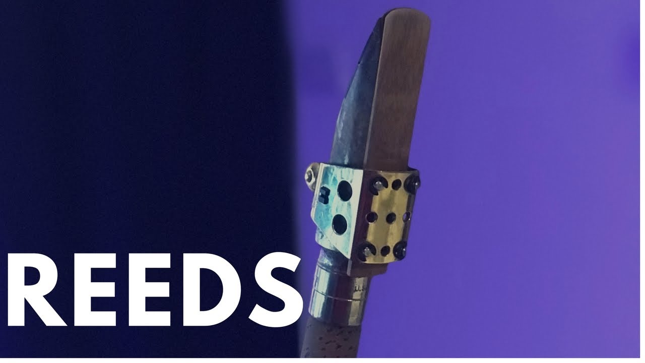 REEDS