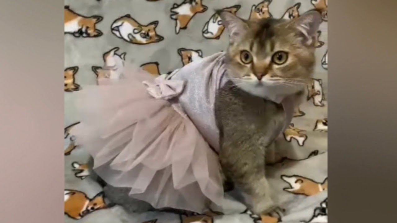 Марточка, Максочка и Мартик 😊😊😊