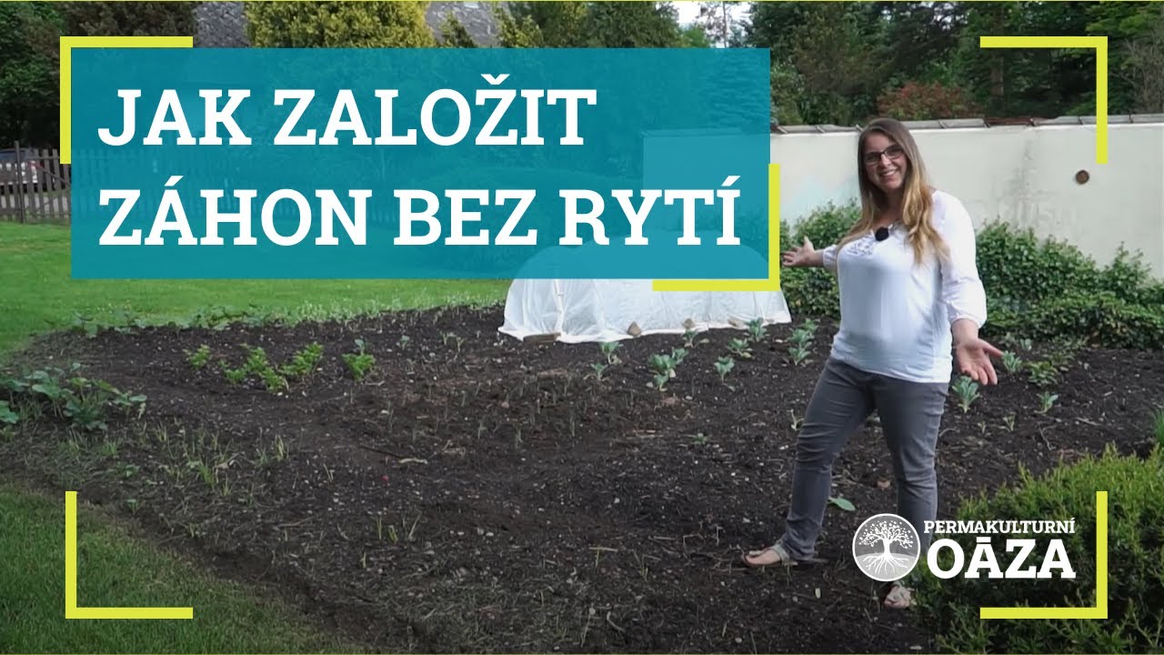 Jak založit záhon bez rytí
