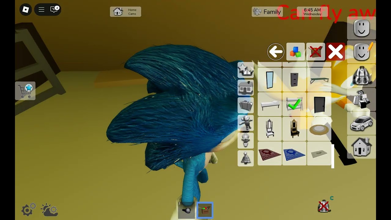 Playing Roblox Brookhaven With tails and knuckles!