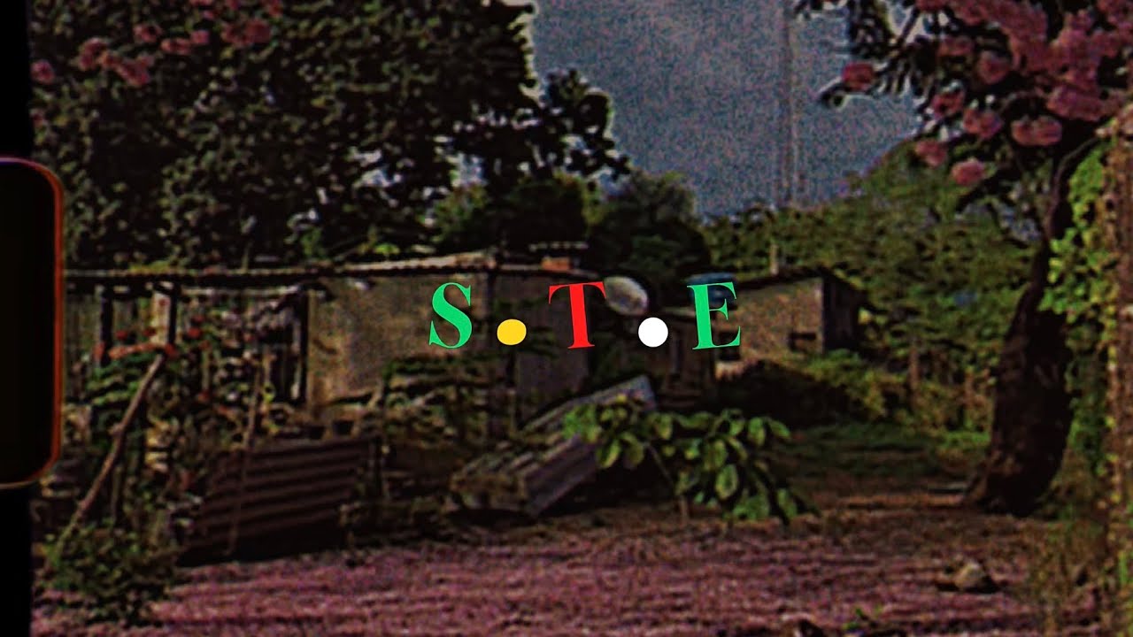 Halx - S.T.E (CLIPE OFICIAL)