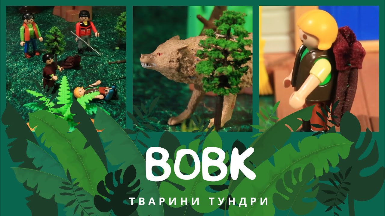 Вовк. Тварини Тундри | Комарко