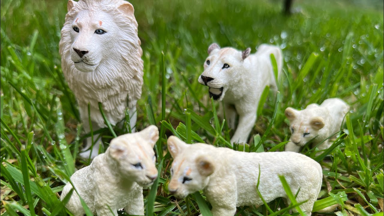 Львиная гордость часть 8 # мир животных # король лев # игрушки и животные
