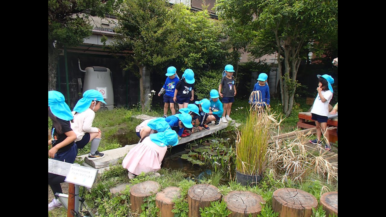 遊びと暮らしに寄り添う仕事 ④　滋賀大学教育学部附属幼稚園の実践から