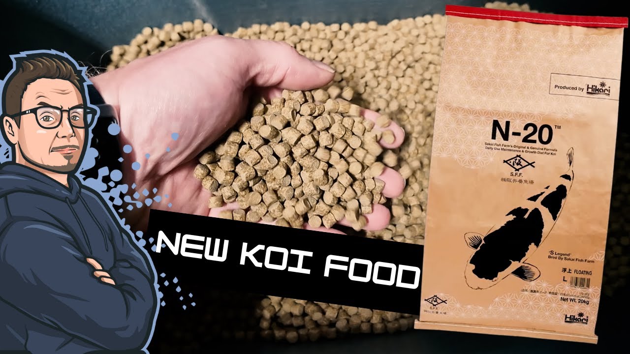 Sakai N-20 Hikari is this JAPANS BEST KOI FOOD? My First Look