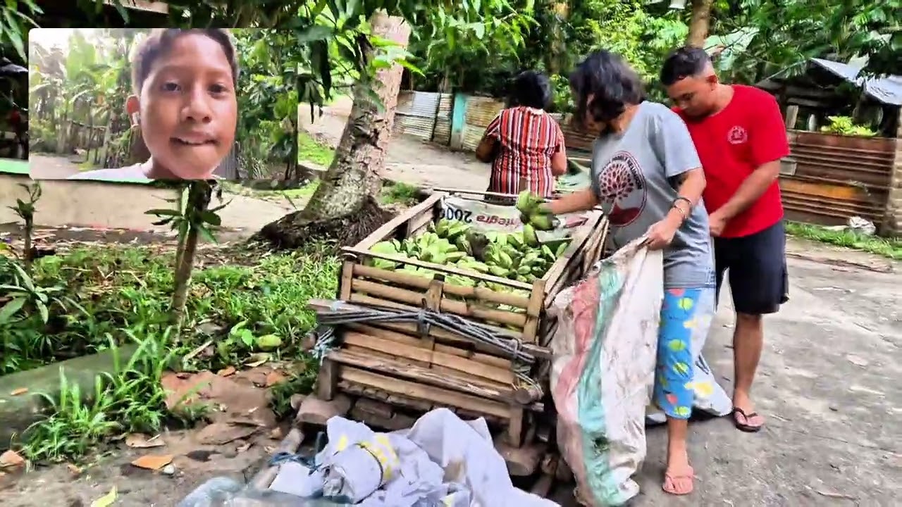 Vlog 29 | One ordinary business day | Life in the Philippine Countryside