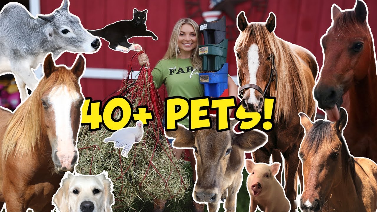 Feeding ALL My Pets in One Video! (UPDATED ROUTINE)