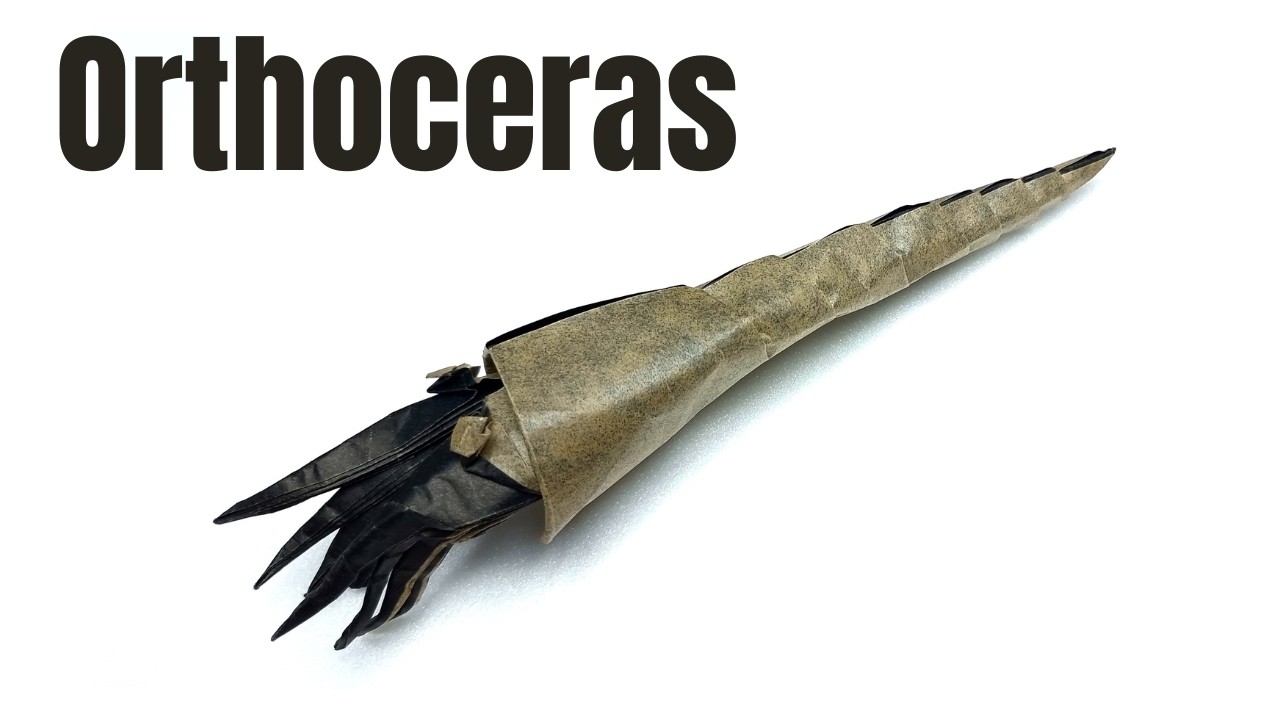 고생대 두족류! 오르토 케라스 접기 / Orthoceras Origami