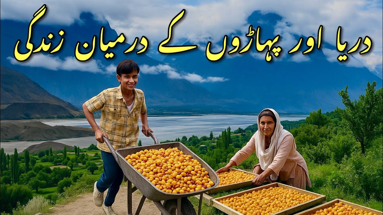 Organic Life in the Mountains of Gilgit-Baltistan | A Glimpse of Simplicity & Nature”