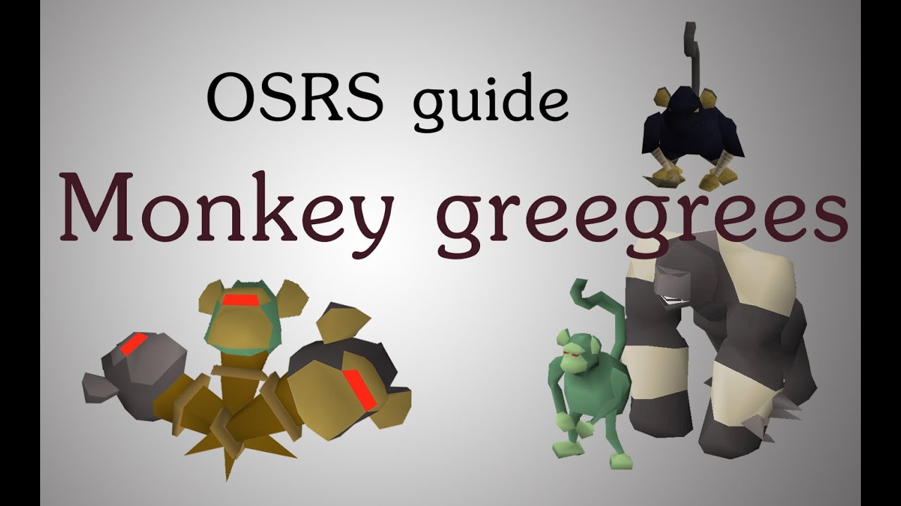 [OSRS] Monkey greegrees guide