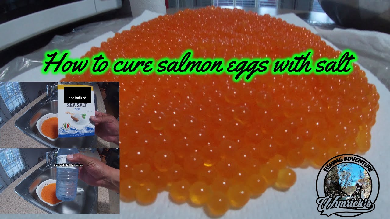HOW TO CURE SALMON EGGS WITH SALT