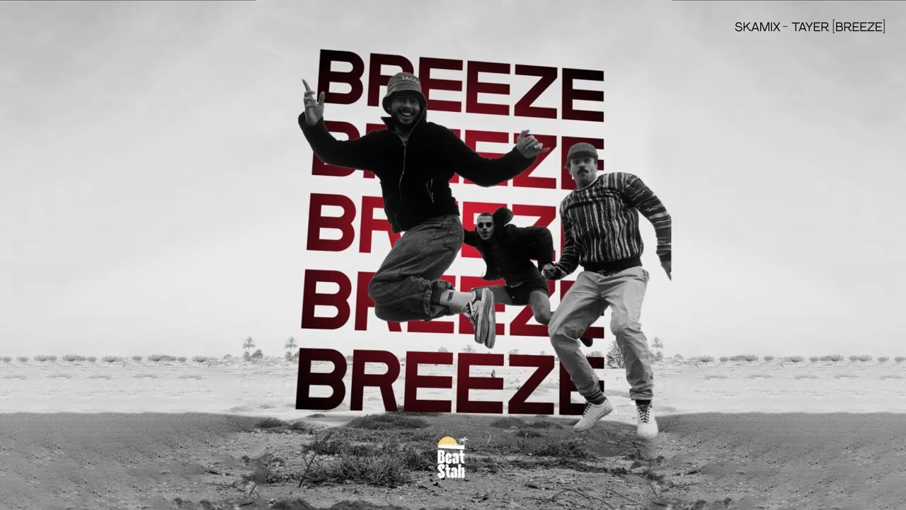 SKAMIX - TAYER [BREEZE]