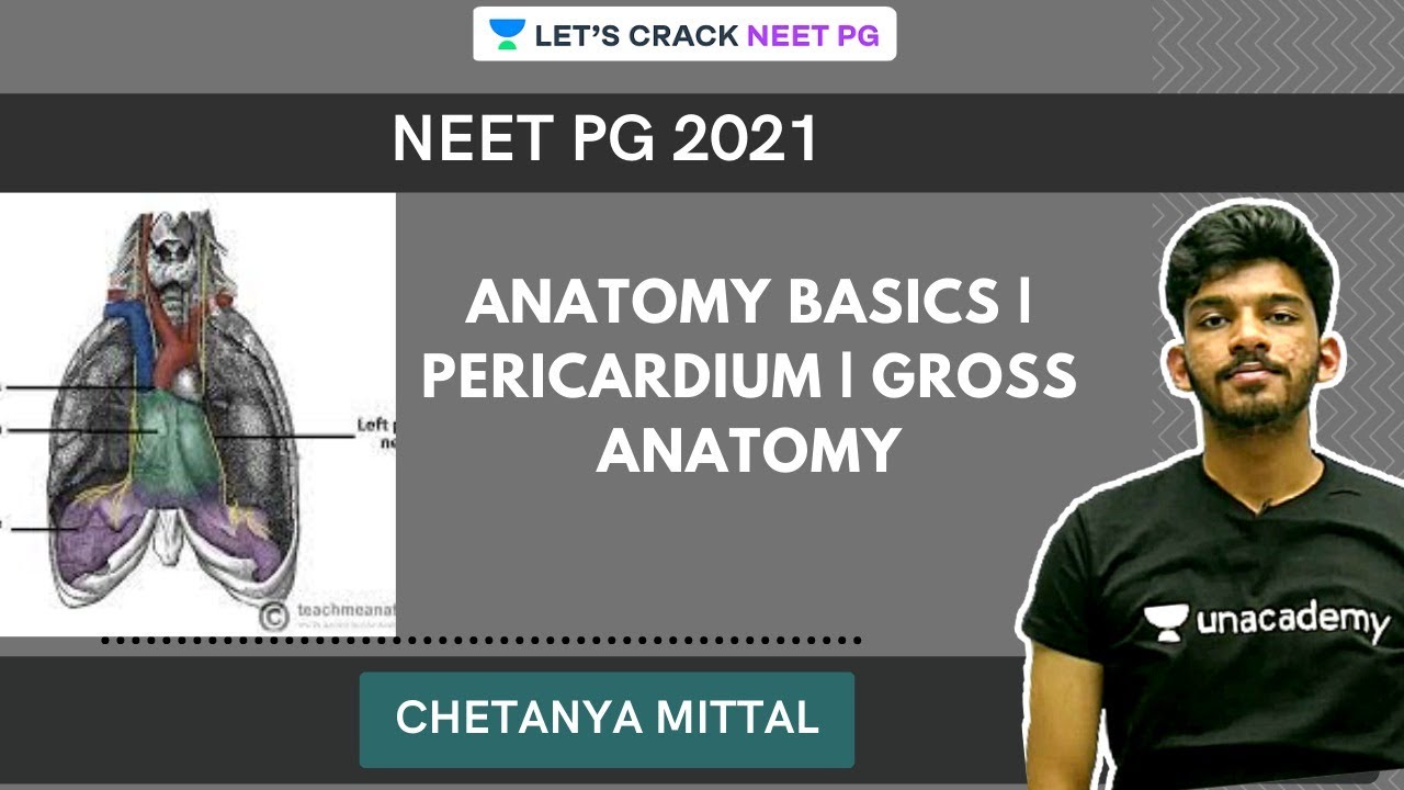 Anatomy Basics | Pericardium | Gross Anatomy | NEET PG 2021 |  Chetanya Mittal