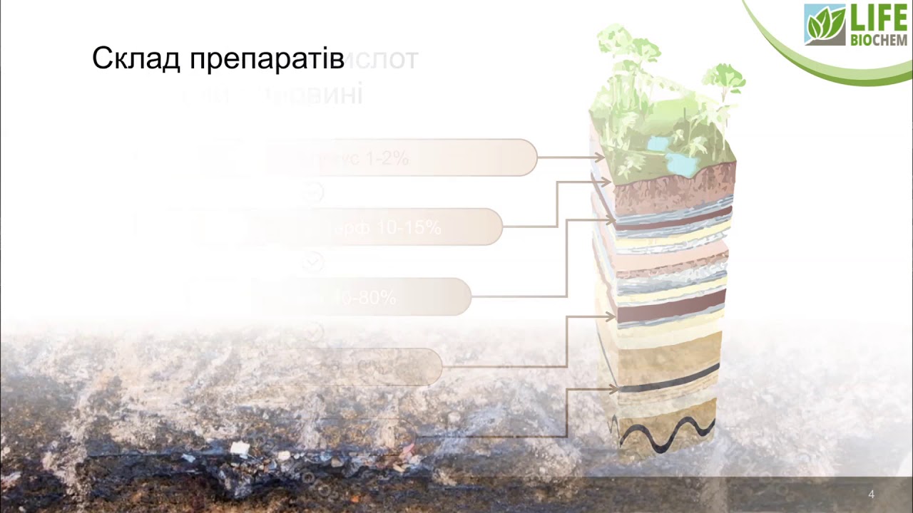 Богдан Аврамчук: Коротко про гумати (семінар Life Biochem та agrotorg.in.ua)