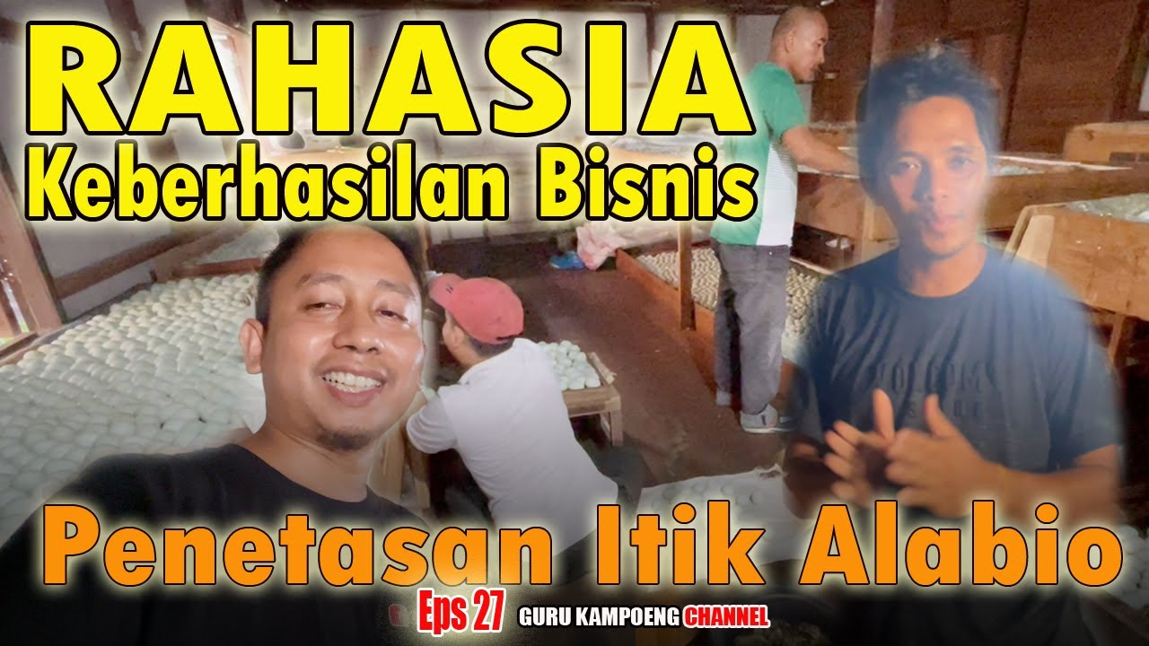 EPS  27 || Rahasia Keberhasilan Bisnis Penetasan Itik Alabio