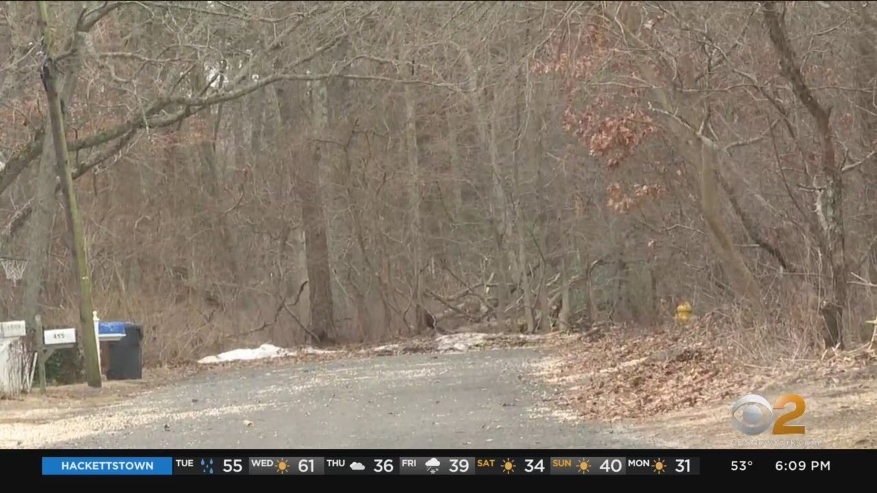 Brick Township residents banding together to save wooded area