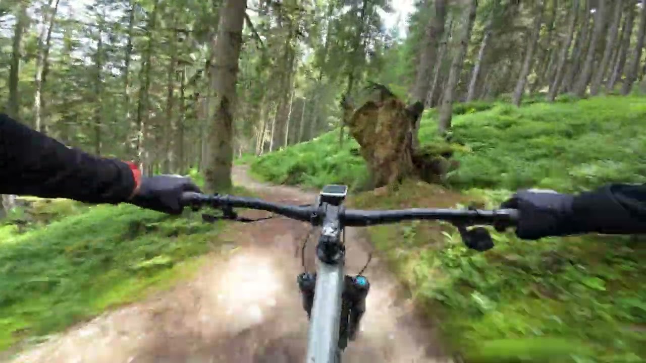 Reiteralm Trails 13.07.2024