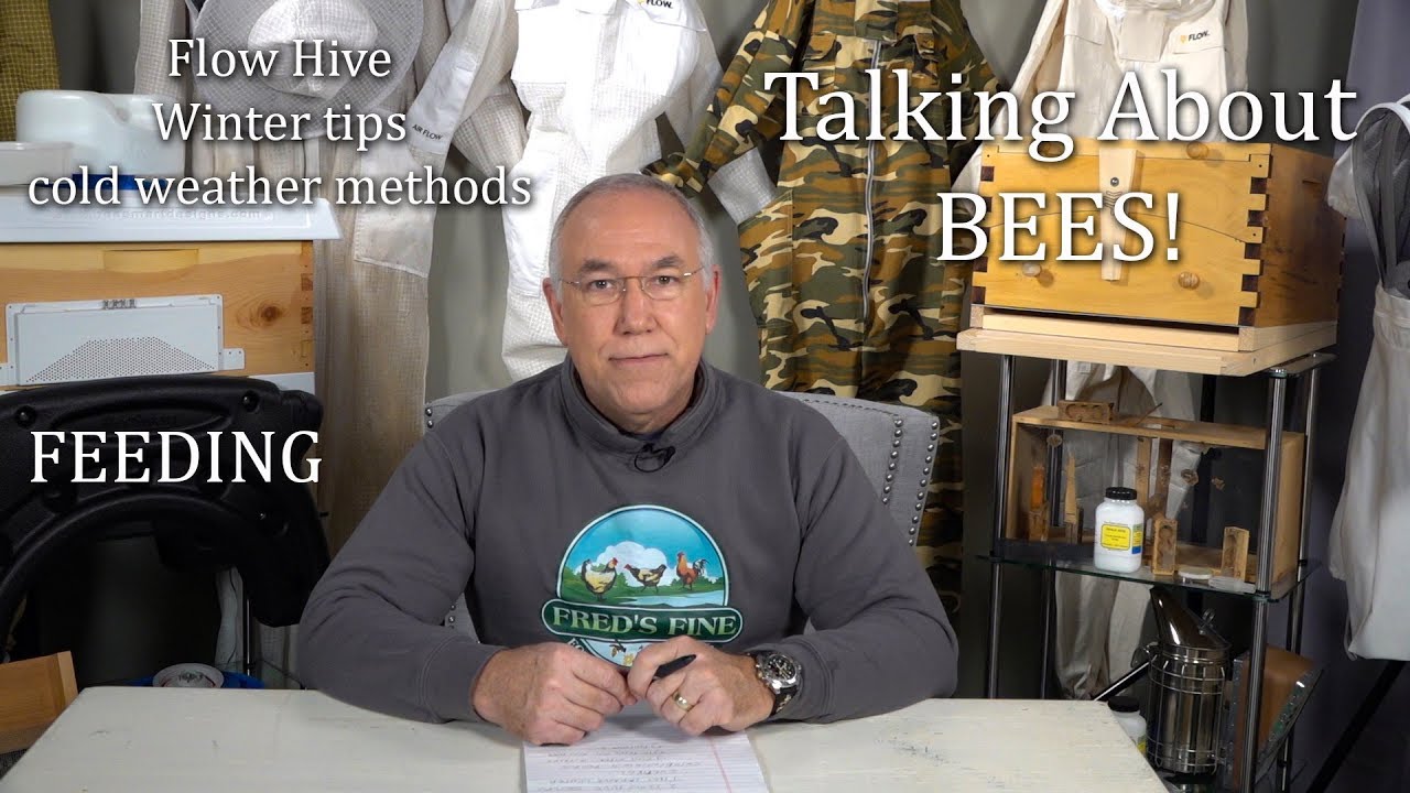 Do Flow Hives Work in Cold Climates? This is My Winter Method and setup. No Queen Excluder Method