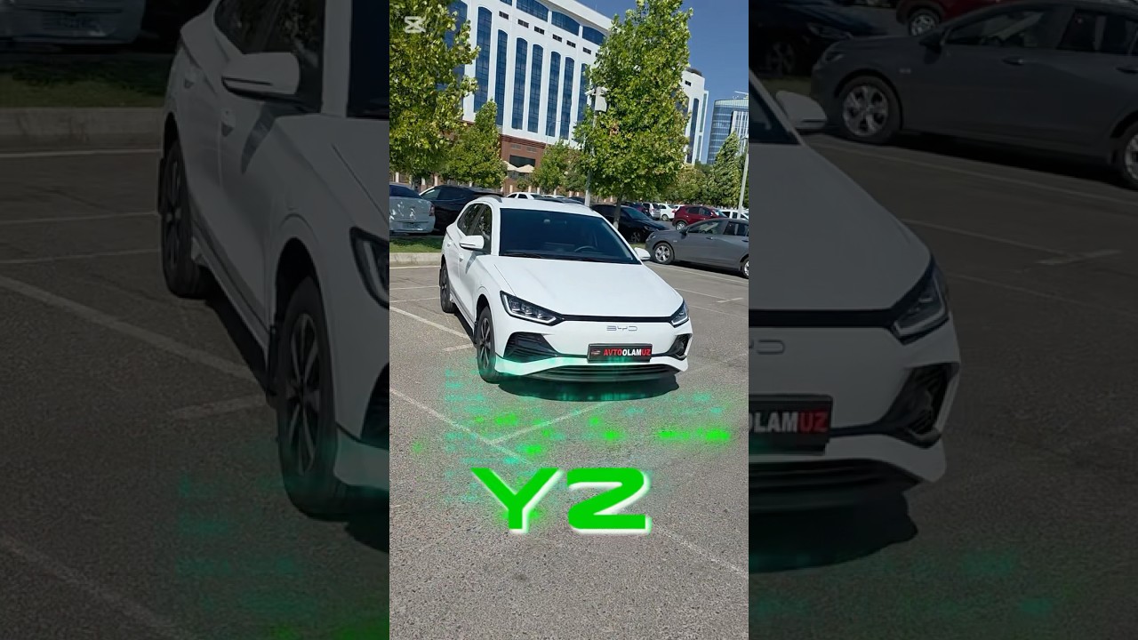 BYD  E2