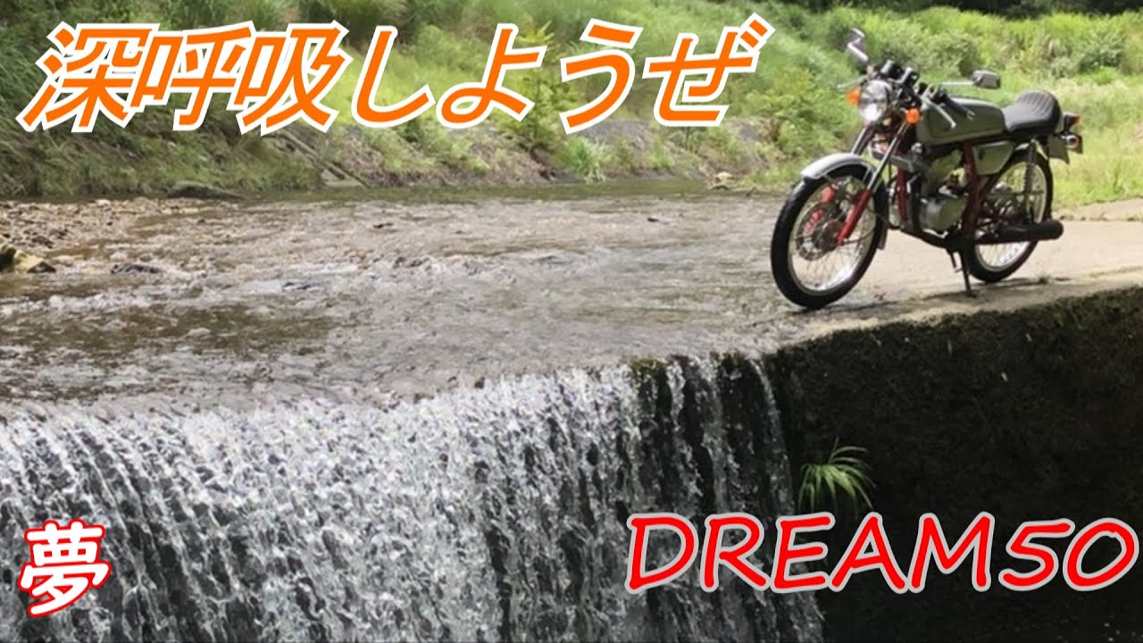 洗い越しが最高すぎた【モトブログ】Honda　ドリーム50