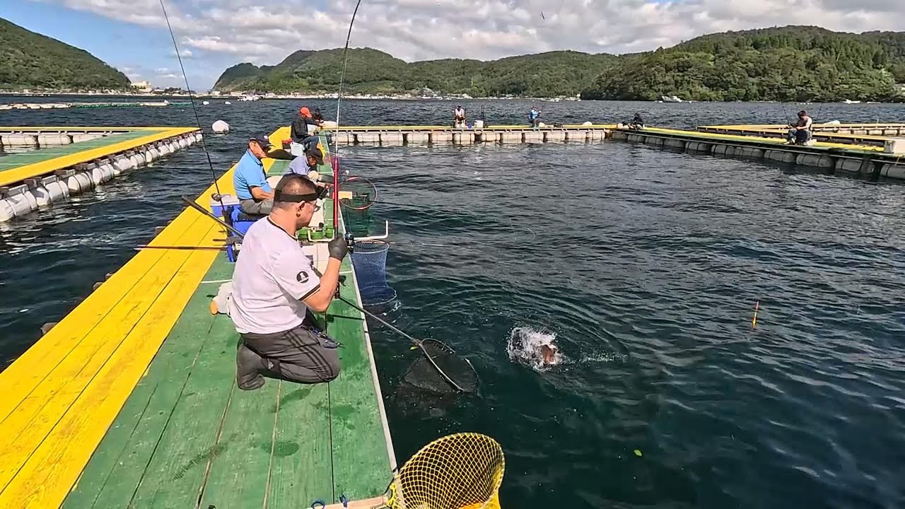 フィッシングランド日向 - Fishing Land Hiruga - 2024/10/09