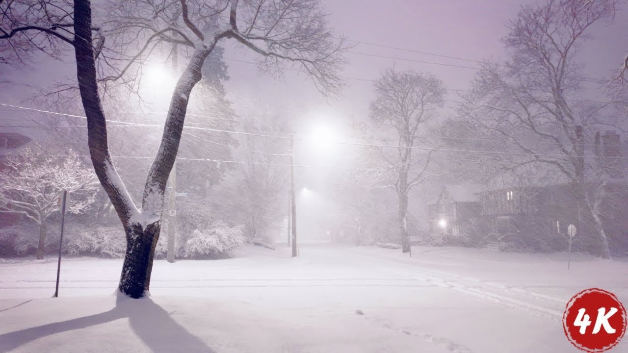 SNOW STORM Stroll in a Canadian Neighbourhood | Winter Wonderland in Southern Ontario