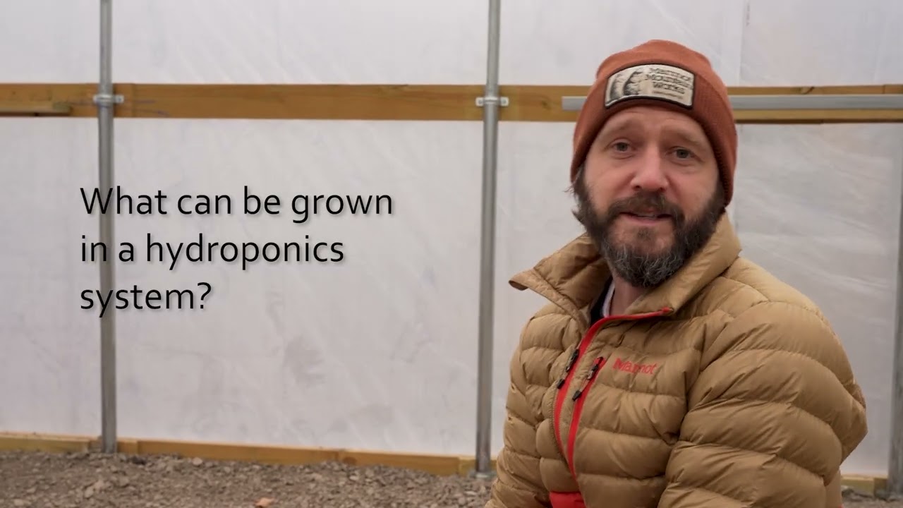 Interview with Rob Breen