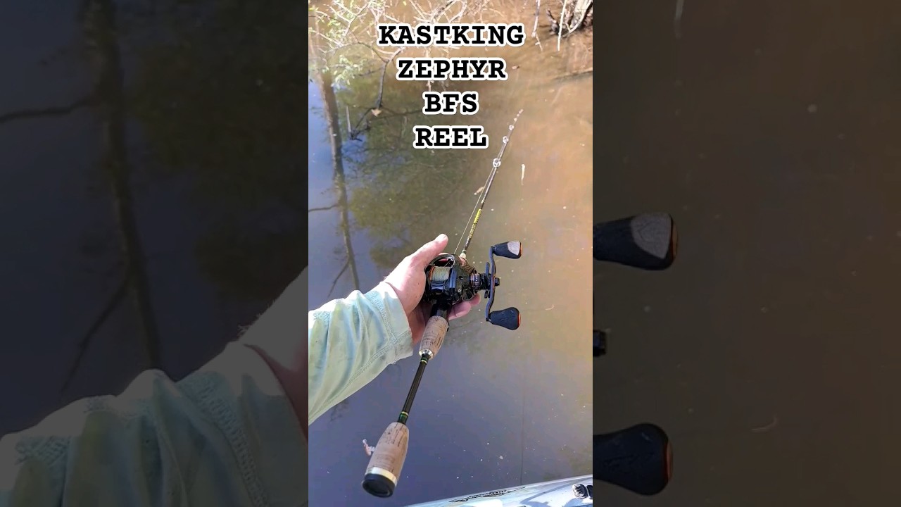 Бюджетное удилище BFS за 35 долларов поймало ЧТО??? #bfs #finesse #ultralightfishing #bowfin #ama...