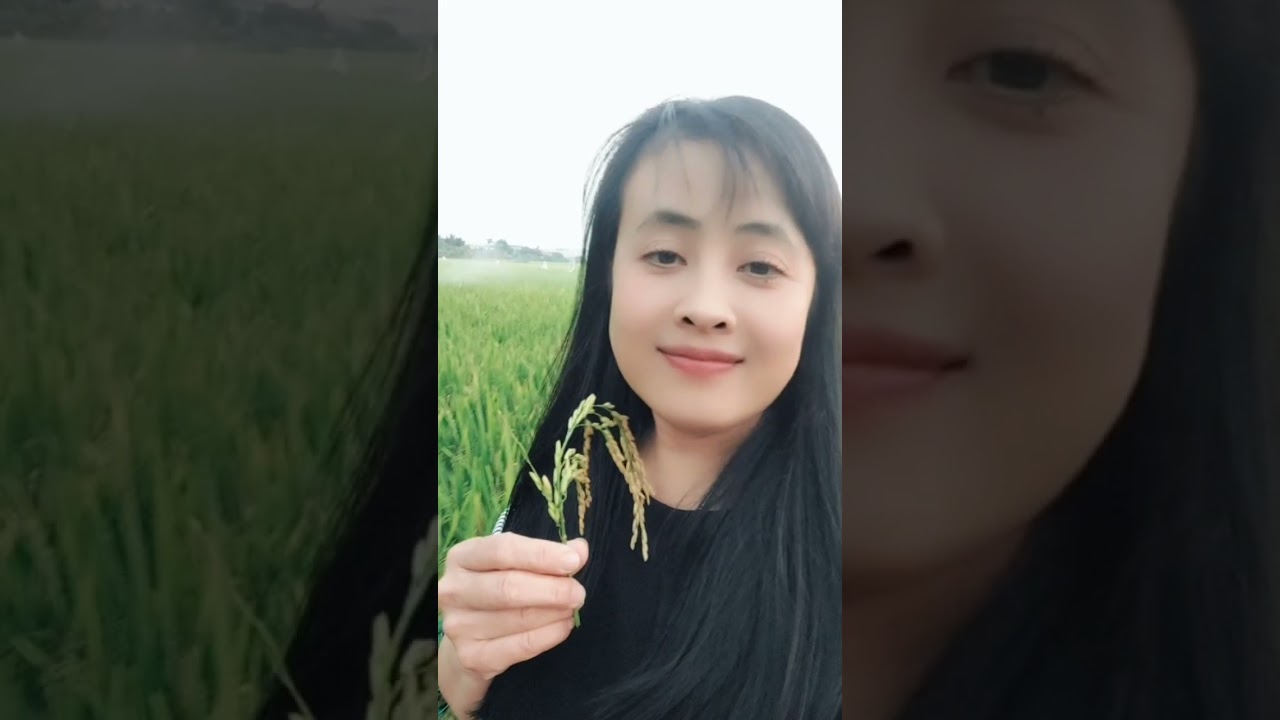 Vọng cổ lôi Vũ,  cover