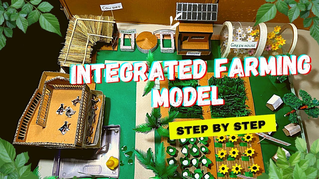 Integrated Farming System Model for #science #exhibition #agriculture model