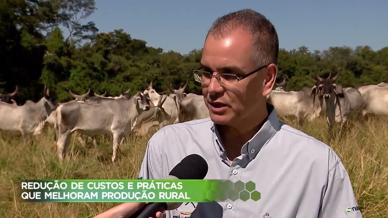 Fazendas do DF se destacam por redu&ccedil;&atilde;o de custos e pr&aacute;ticas que melhoram a produ&ccedil;&atilde;o rural