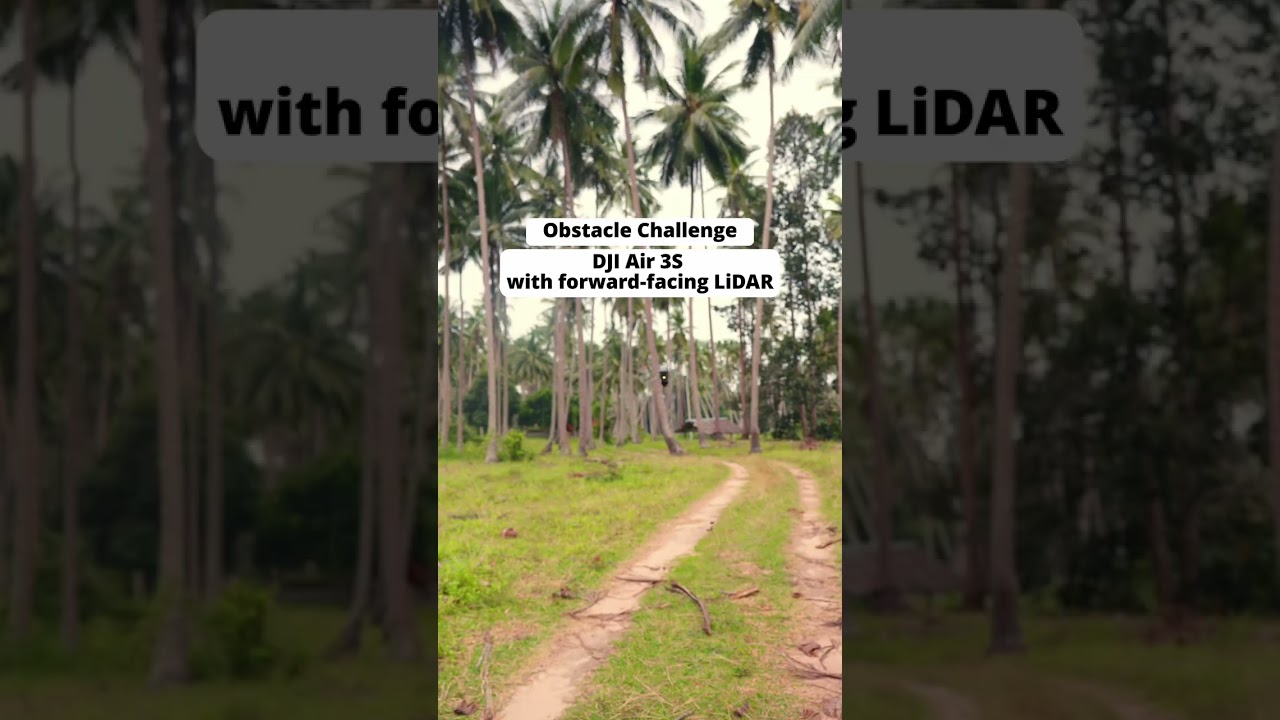 DJI Air 3S Obstacle Avoidance Test &mdash; Ultimate Palm Tree Challenge (Guess How Many It Detects!)