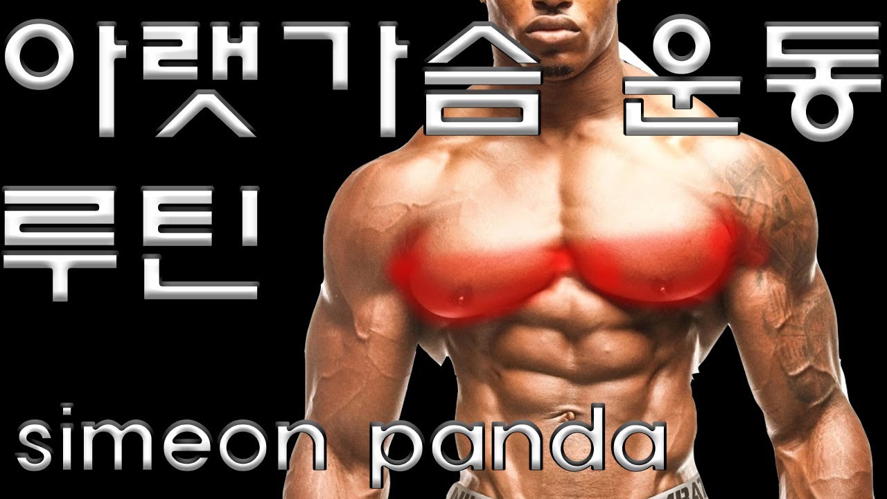 아랫가슴 운동 루틴 4가지!! (feat. Simeon Panda) 밑가슴 근육운동