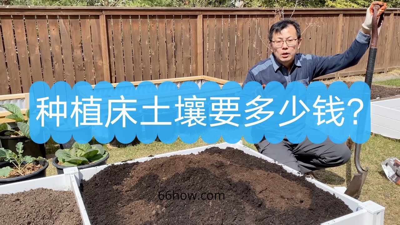 种植床土壤要多少钱？ 买土和自己配土两种方式对比，让你做到心中有数！