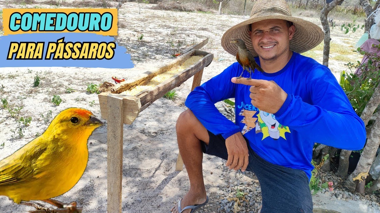 Fiz um comedouro para os pássaros aqui no sitio, ficou fantástico